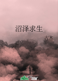 齐安天下(科举)